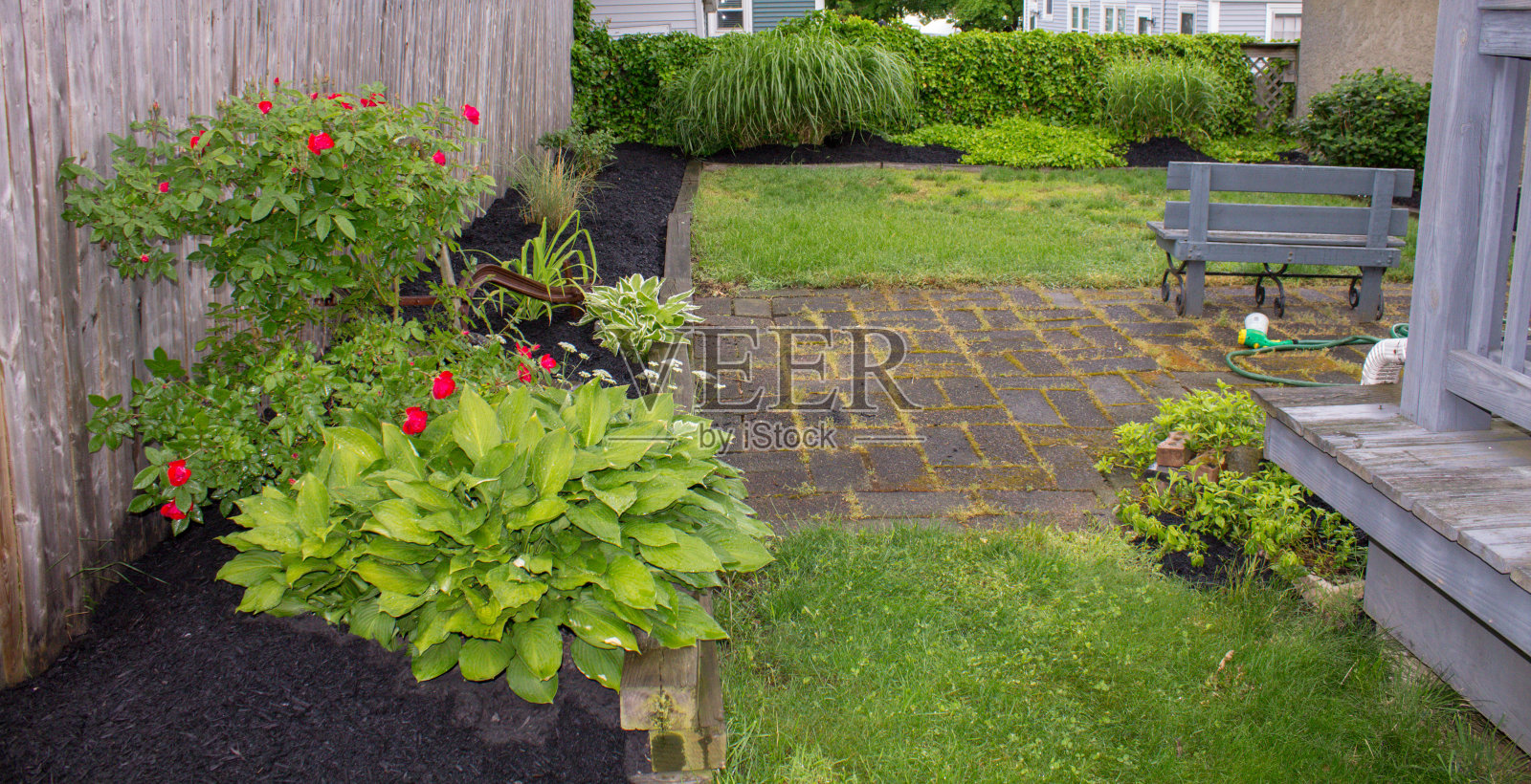 后院盛开照片摄影图片