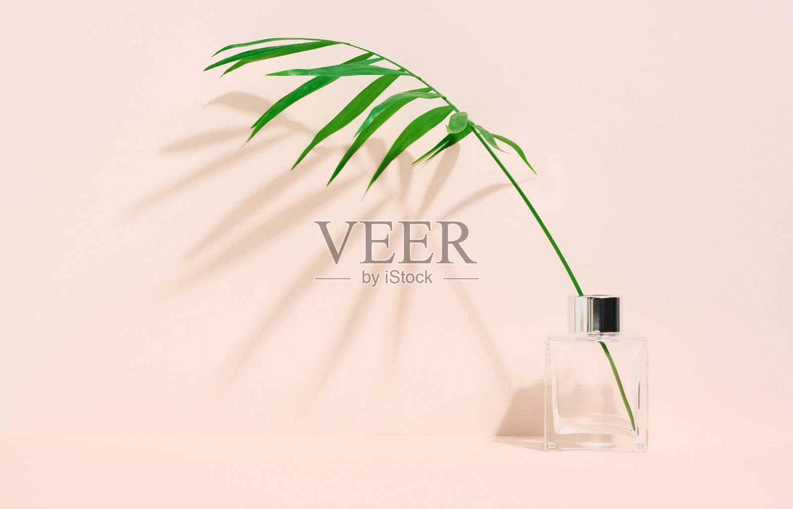 透明玻璃花瓶和绿色棕榈叶在米色背景。照片摄影图片