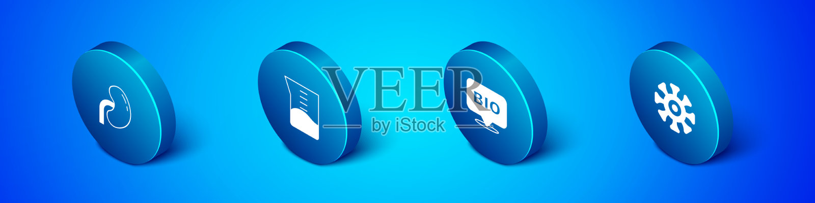 设置等距人肾生物健康食品图标素材