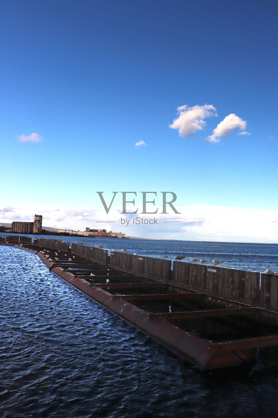 海鸥有一个时间在墙上-雷湾码头，安大略省，加拿大照片摄影图片