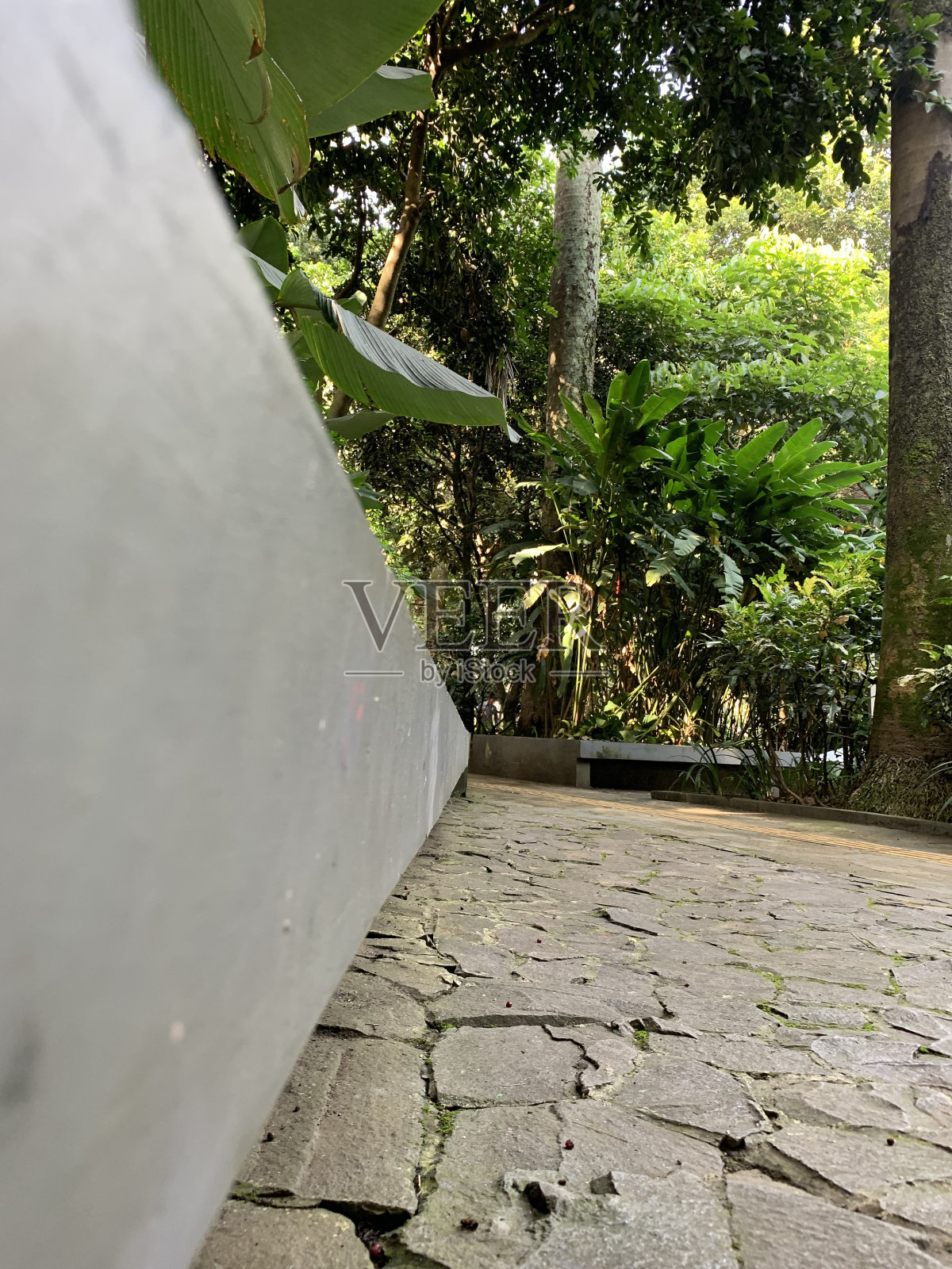 公园在万隆市照片摄影图片