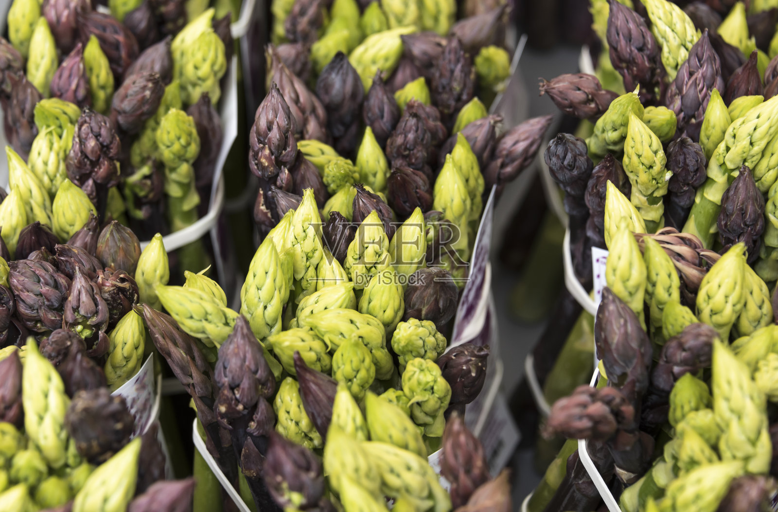 市场上一捆捆绿色和紫色的芦笋照片摄影图片