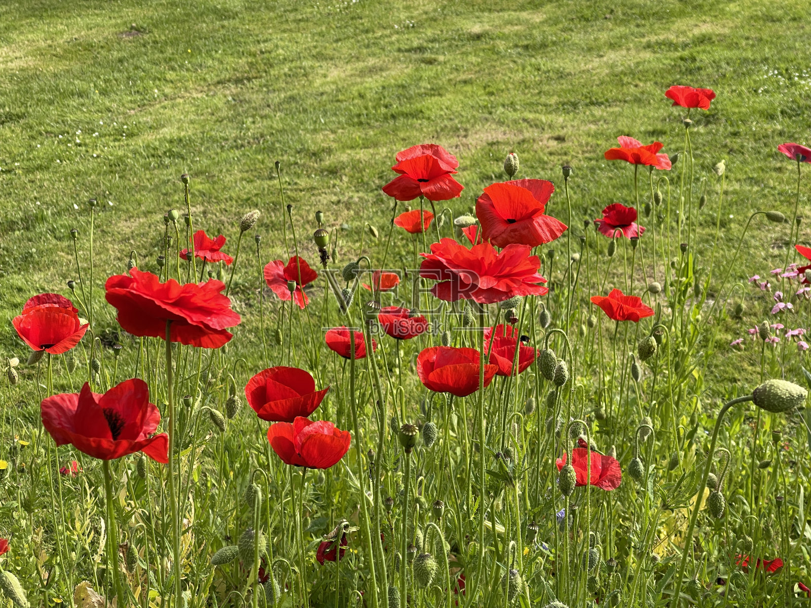 板凳仔照片摄影图片