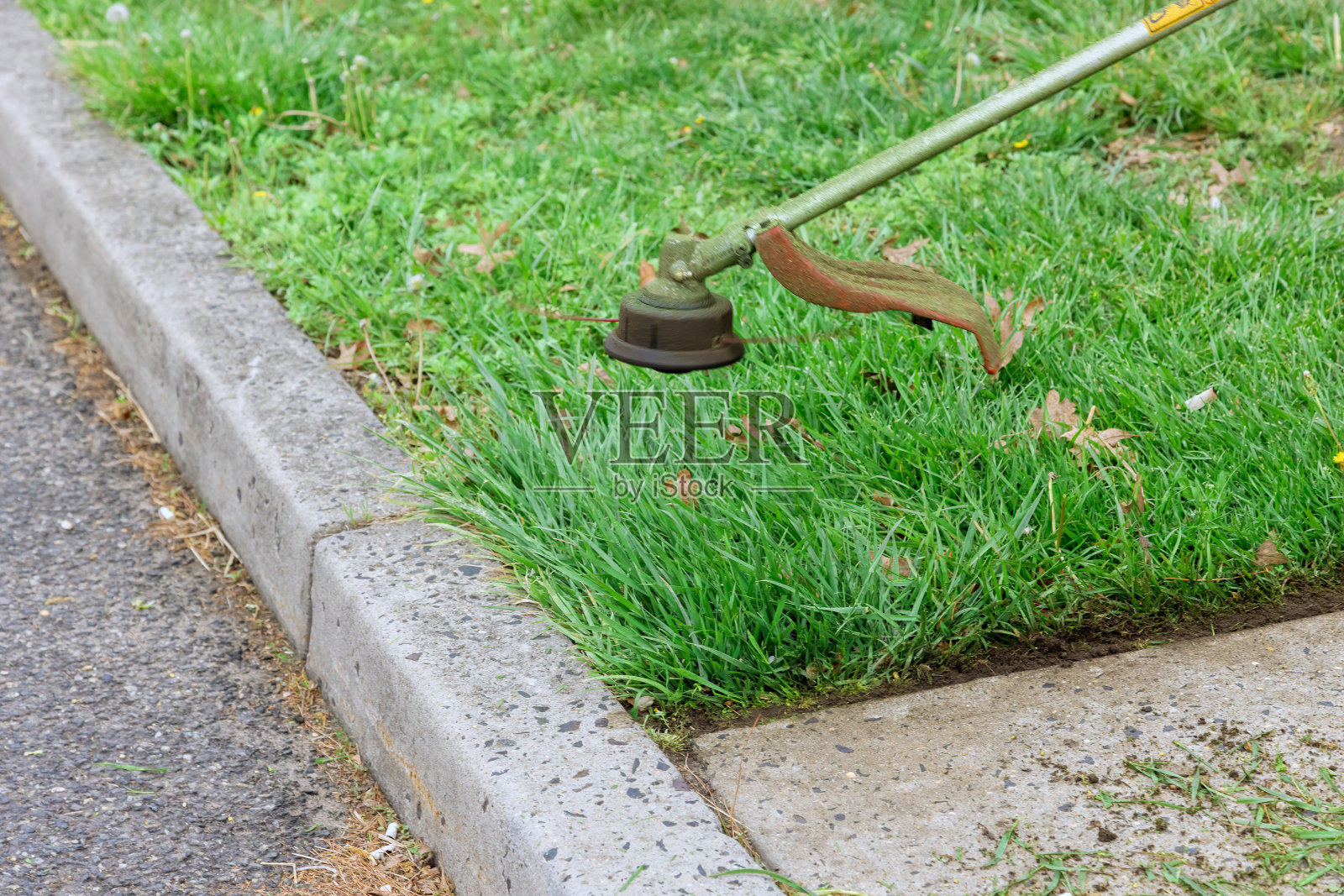 用旋转头上的修剪器割绿草的过程照片摄影图片