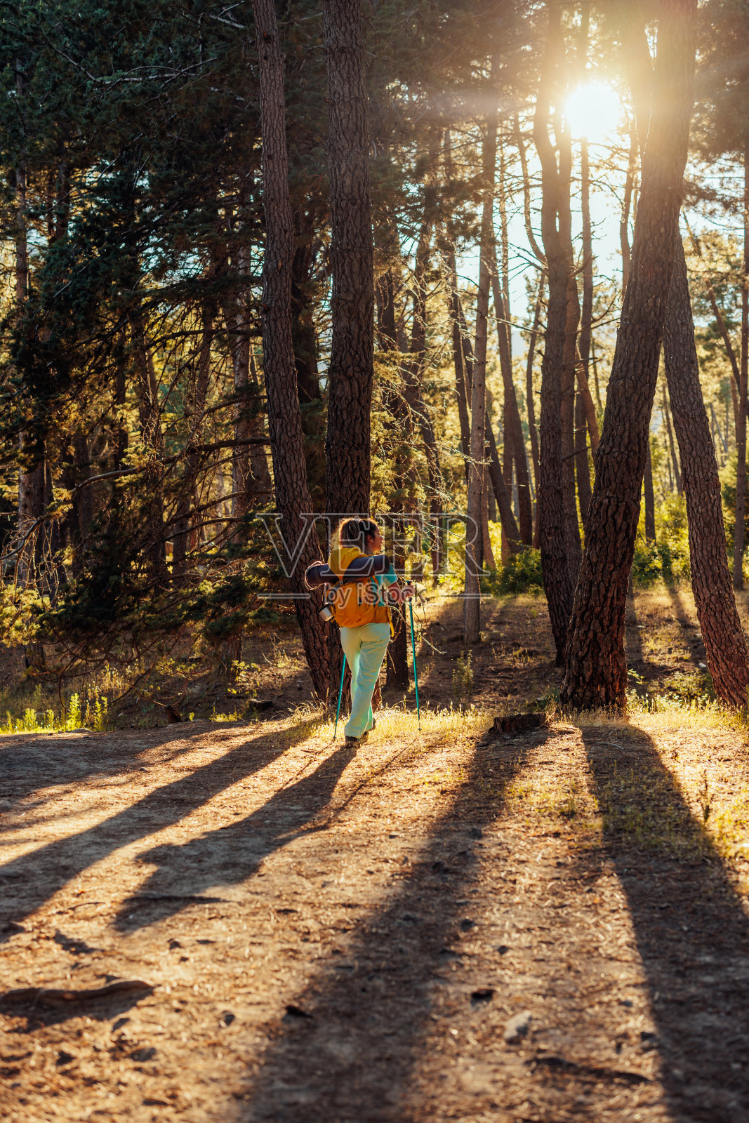 森林里一个女徒步旅行者的背影照片摄影图片
