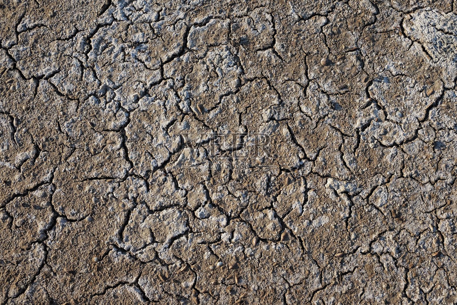 布满盐碱裂缝的干燥土地照片摄影图片