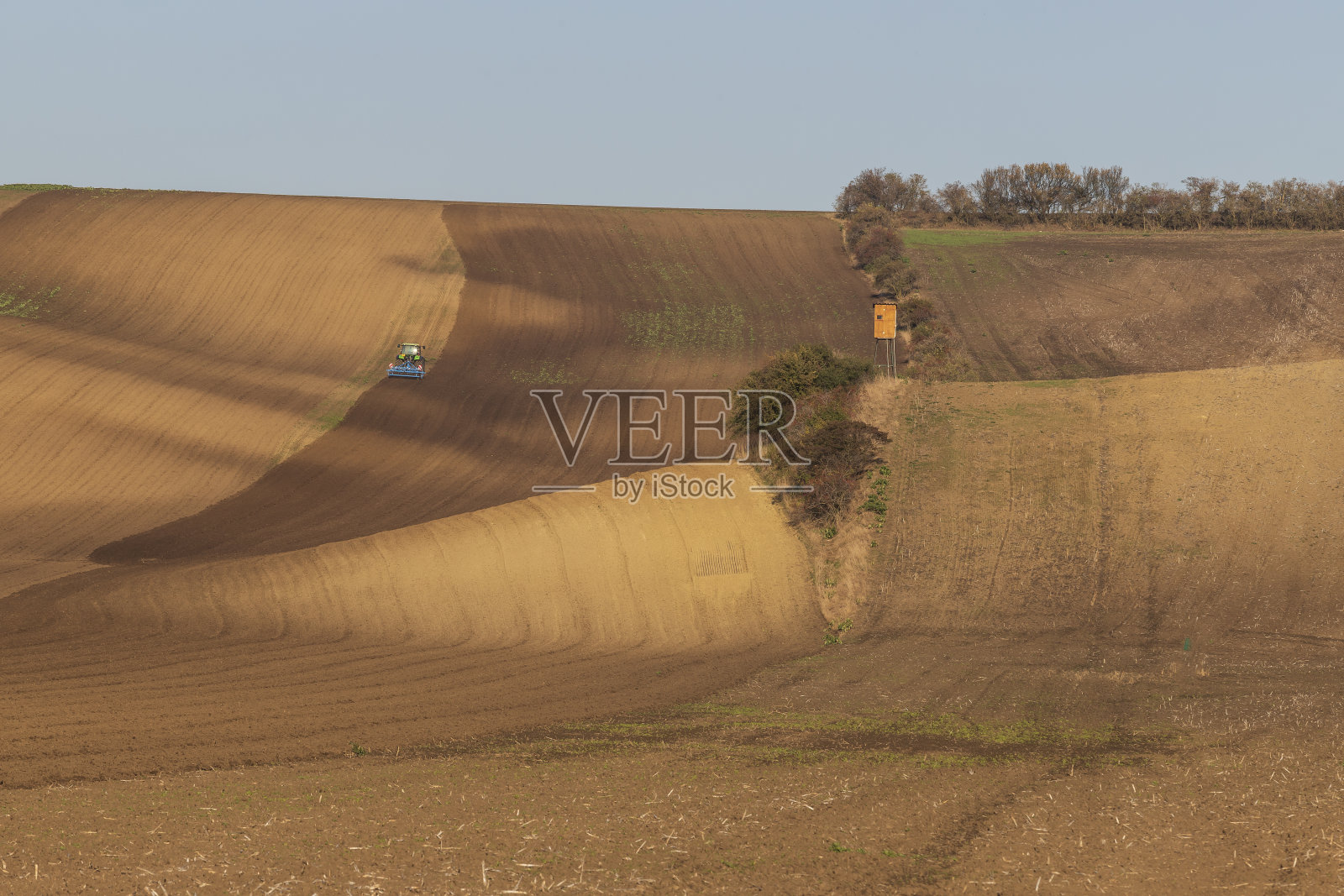 捷克共和国米斯特林附近的摩拉维亚托斯卡纳美丽的起伏景观。你可以看到田野和草地上的谷物开始变绿。照片摄影图片