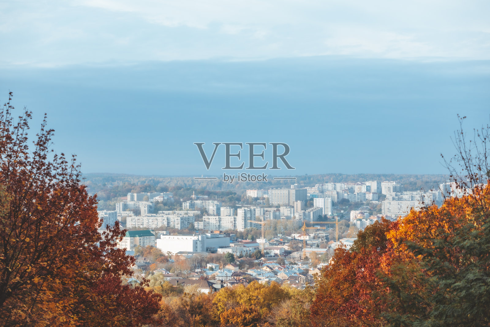 秋天来了，黄澄澄的树公园在城市的背景上照片摄影图片