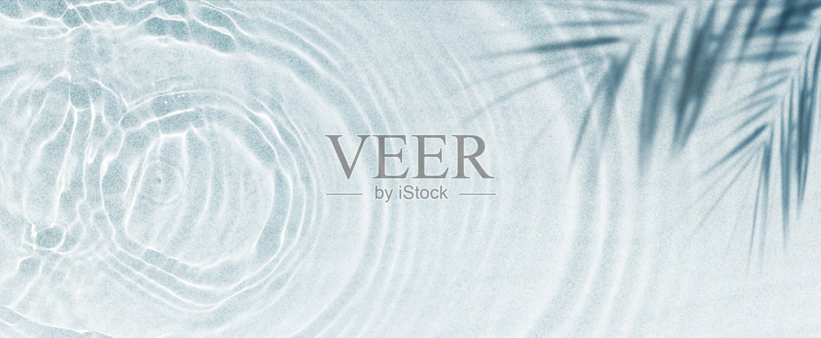 棕榈叶的影子在抽象的白色沙滩背景上，阳光在水面上，抽象的背景概念横幅在海滩度假照片摄影图片