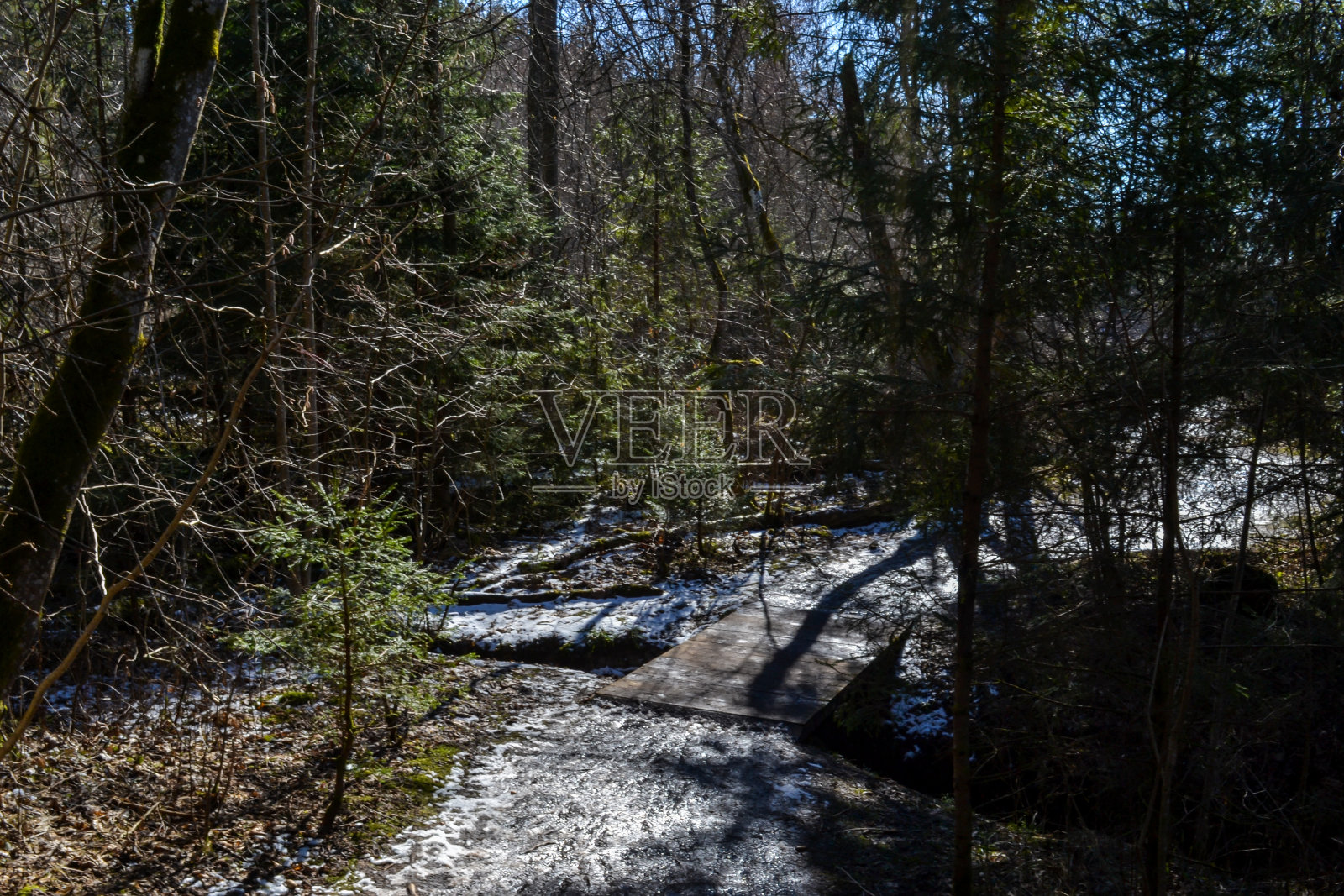 泥泞的森林步道，在小森林河上有一座桥。融雪融泥的春景。绿色的针叶林。照片摄影图片