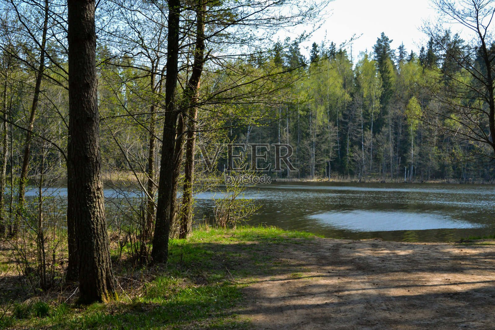 美丽的湖滨景观和绿色的树木照片摄影图片