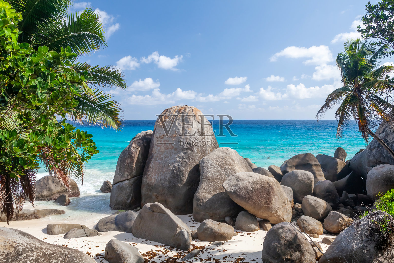 有棕榈树的热带海滩照片摄影图片