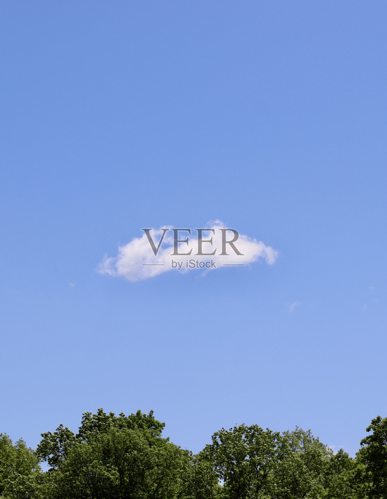 单瓣白色的云照片摄影图片