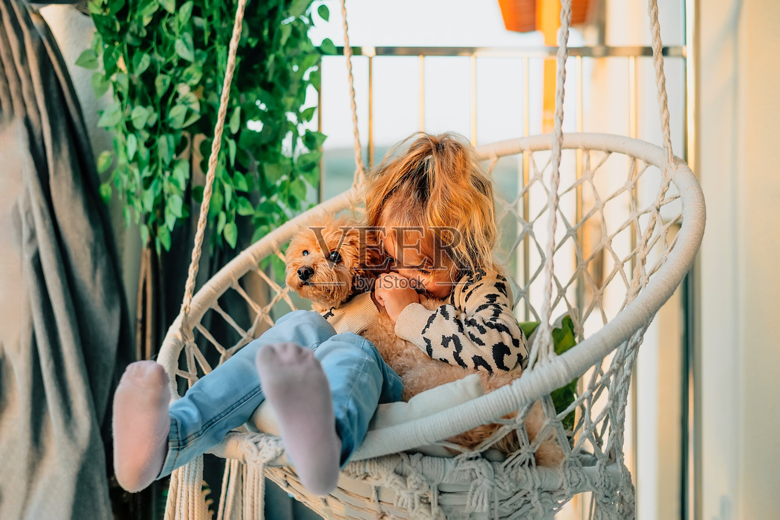 快乐的小女孩，孩子微笑着拥抱着她的宠物，狮子狗春天在家里的阳台上，夏天在棉流苏吊床的椅子上日落。照片摄影图片