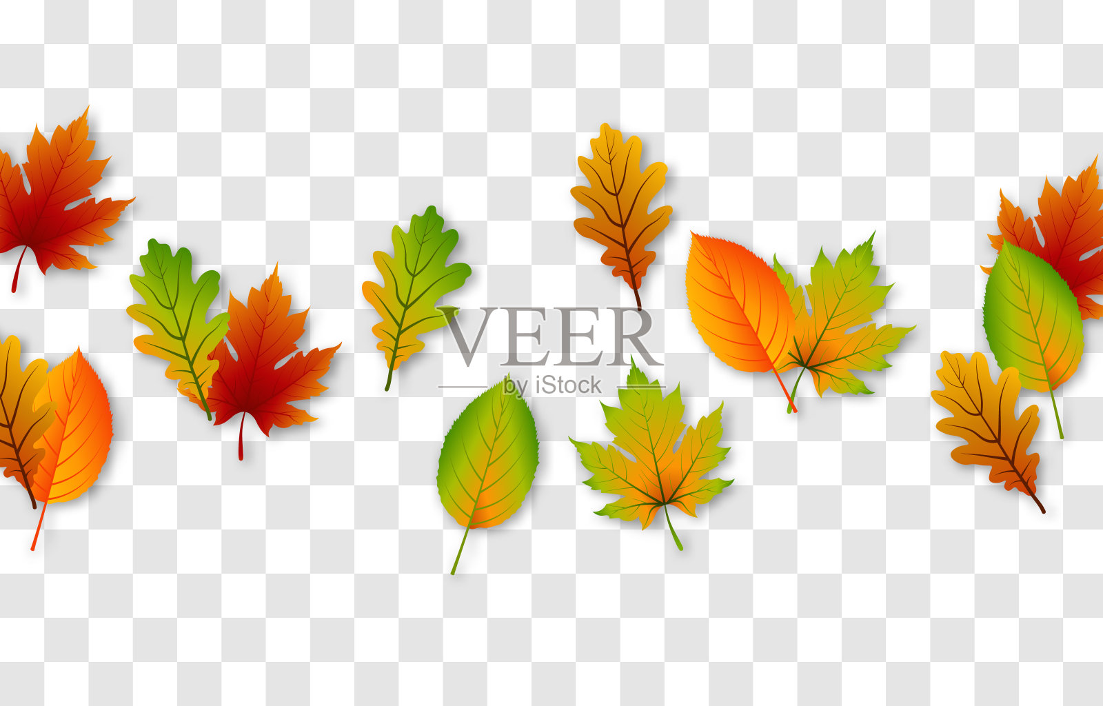 媒介叶在一个孤立的透明背景。秋天，树叶躺在地上。叶子。插画图片素材