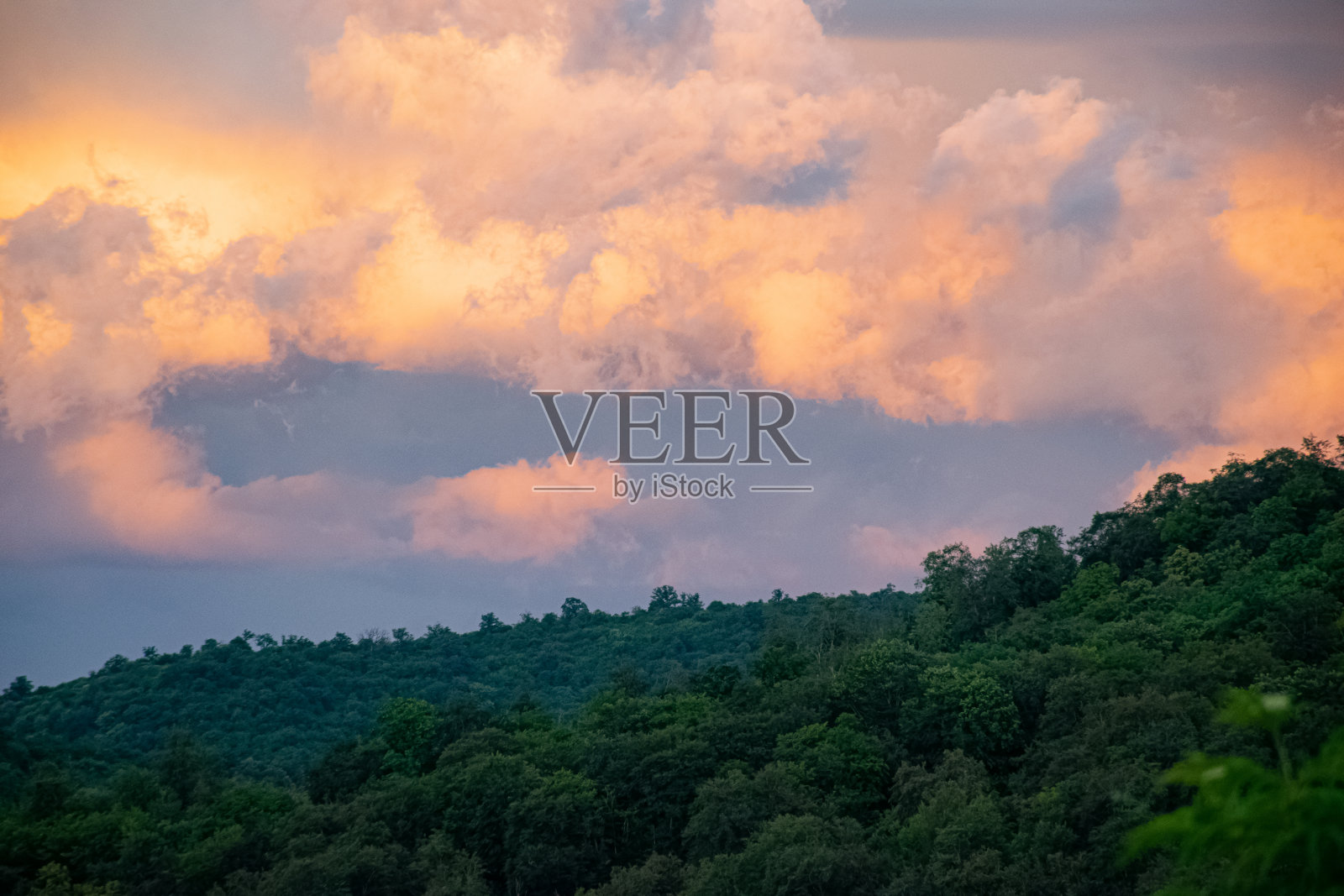 旅行的照片照片摄影图片