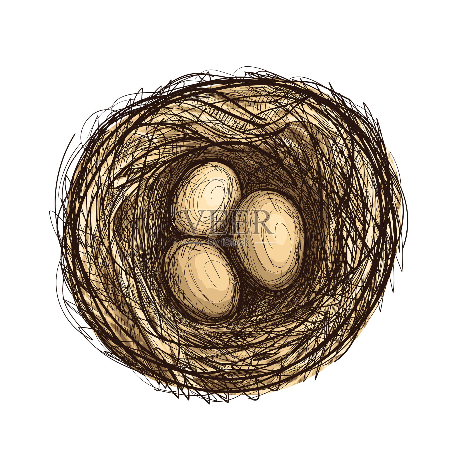 手绘草图鸟巢用三个棕色的鸡蛋设计元素图片