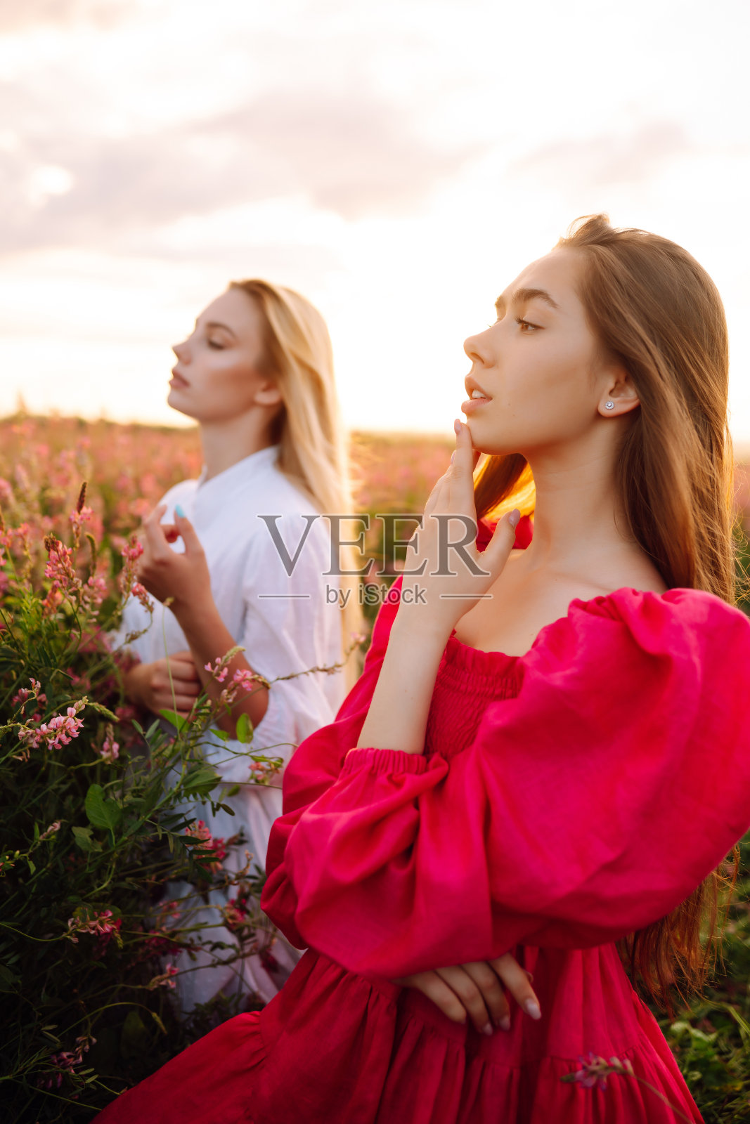 两个美丽的女人在田野里。自然、时尚、度假和生活方式。照片摄影图片