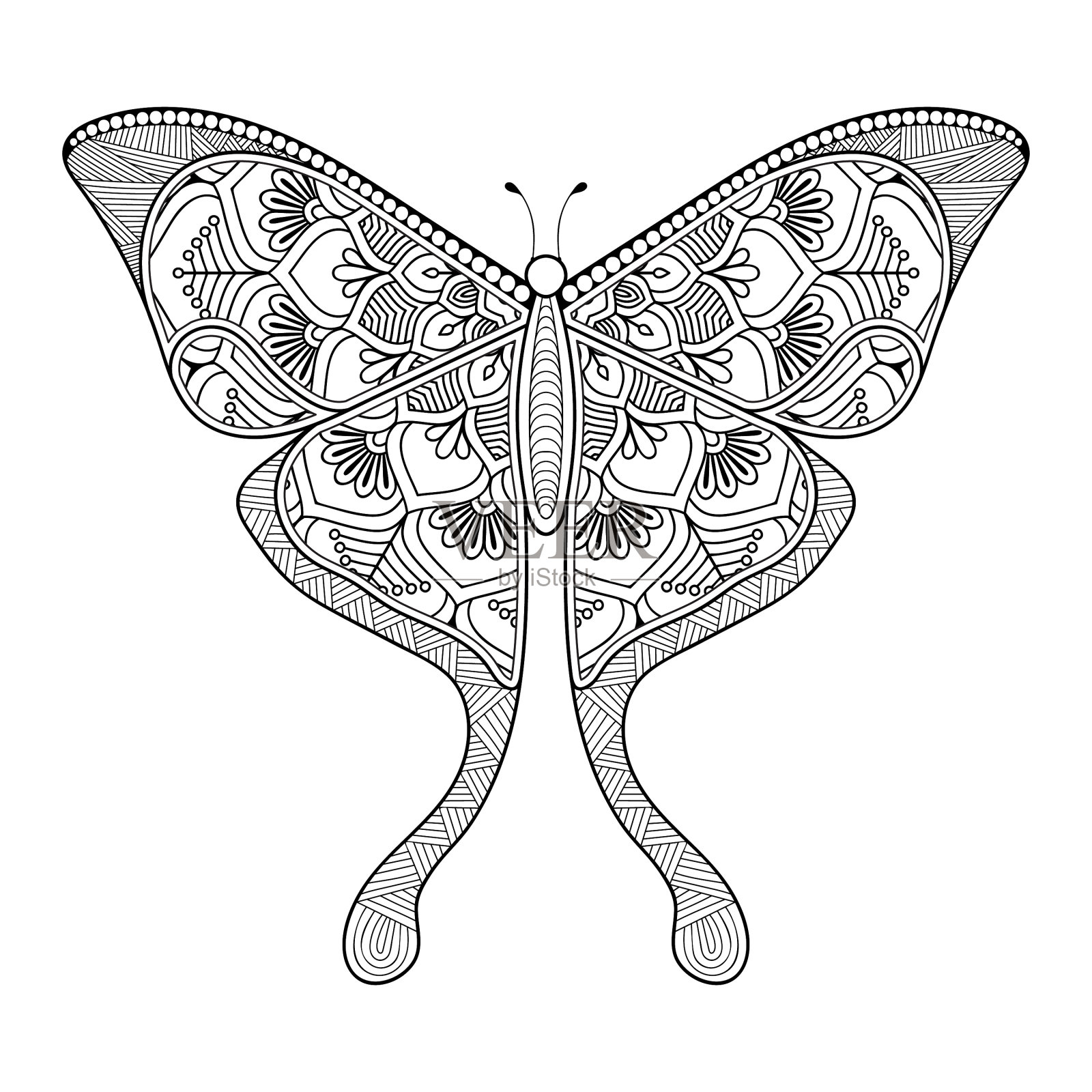 蝴蝶黑白元素线条艺术插画图片素材