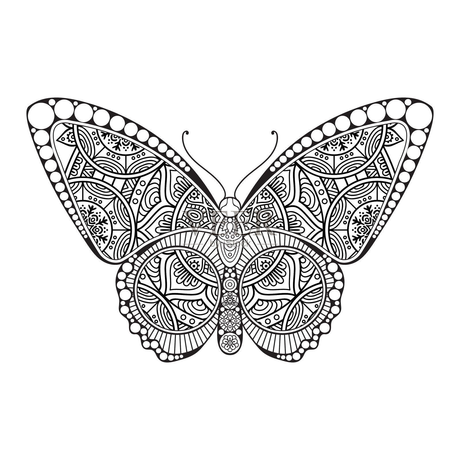 蝴蝶黑白元素线条艺术插画图片素材