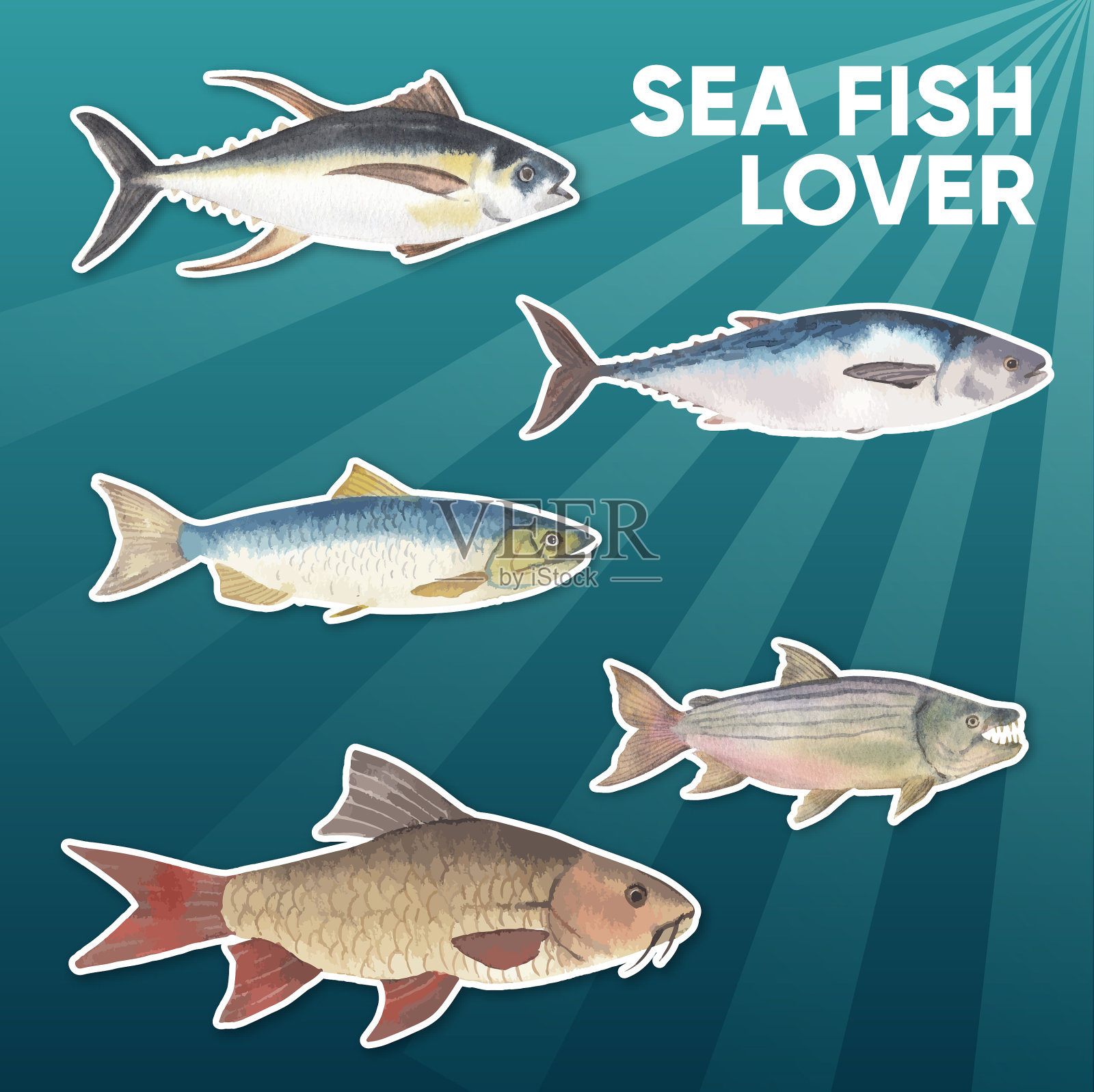 贴纸模板用海鱼概念水彩插画图片素材