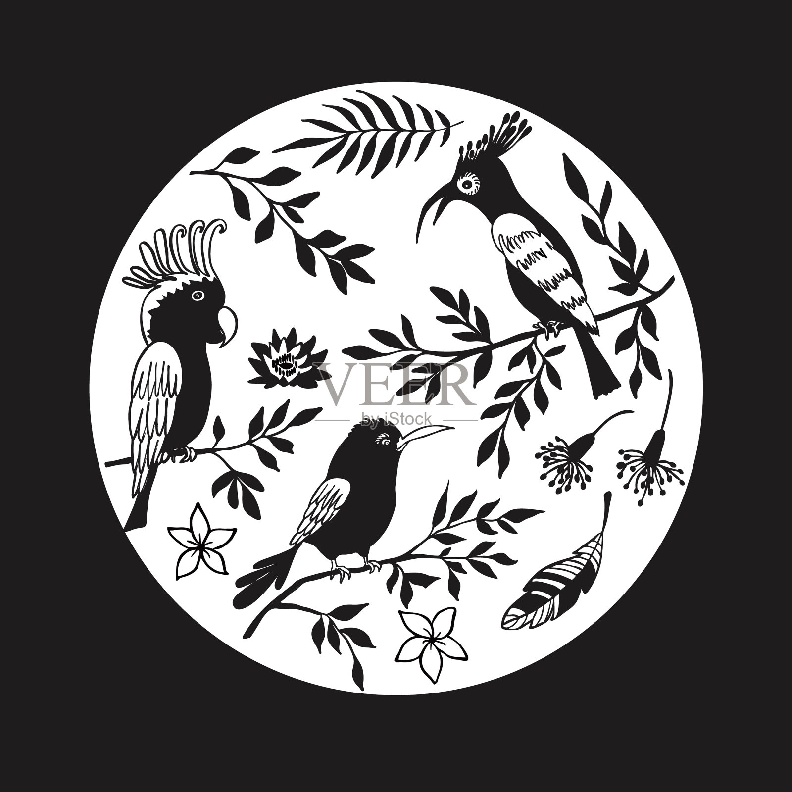 单色珍奇鸟类收集手绘插画图片素材