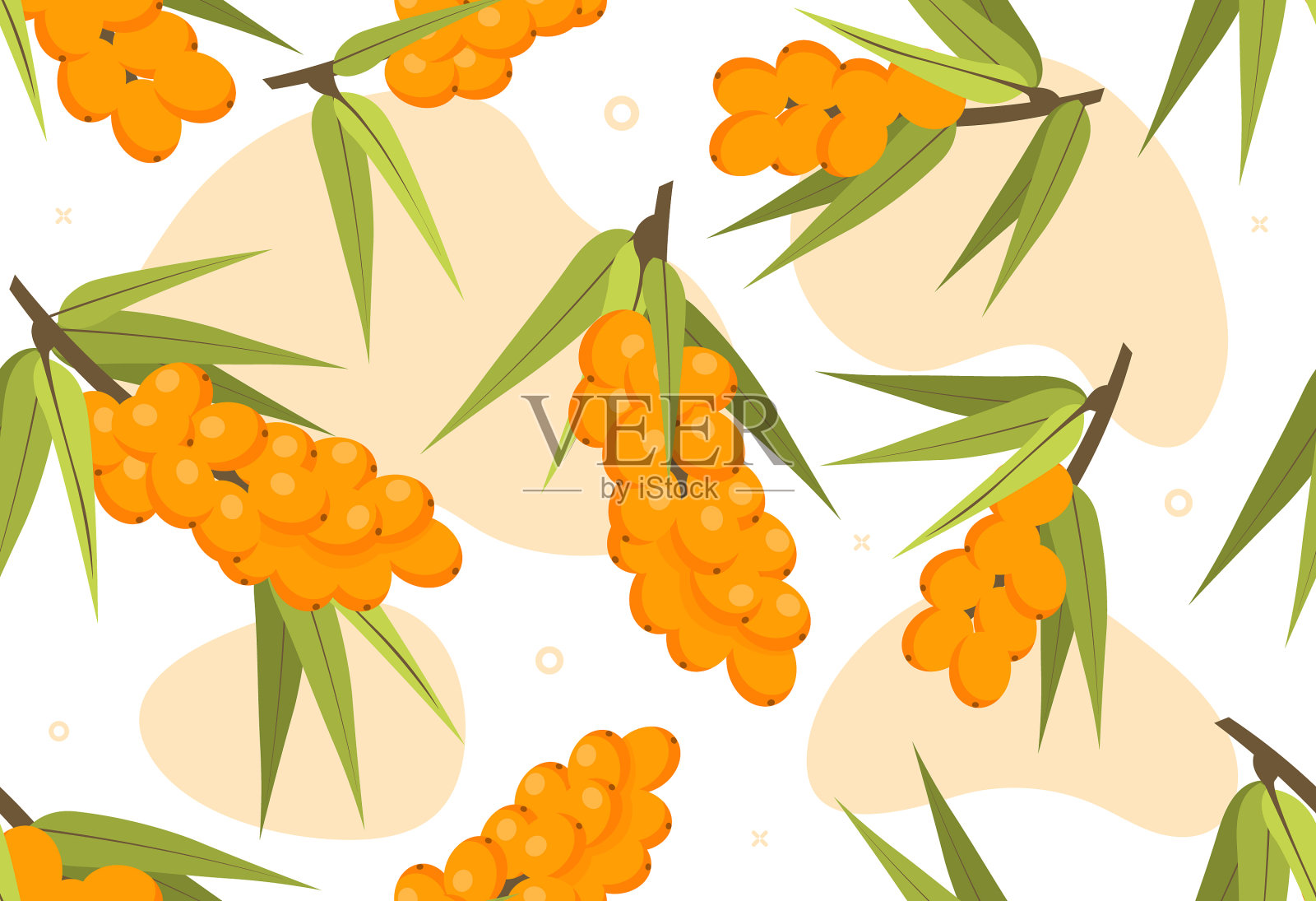 沙棘无缝背景插画图片素材