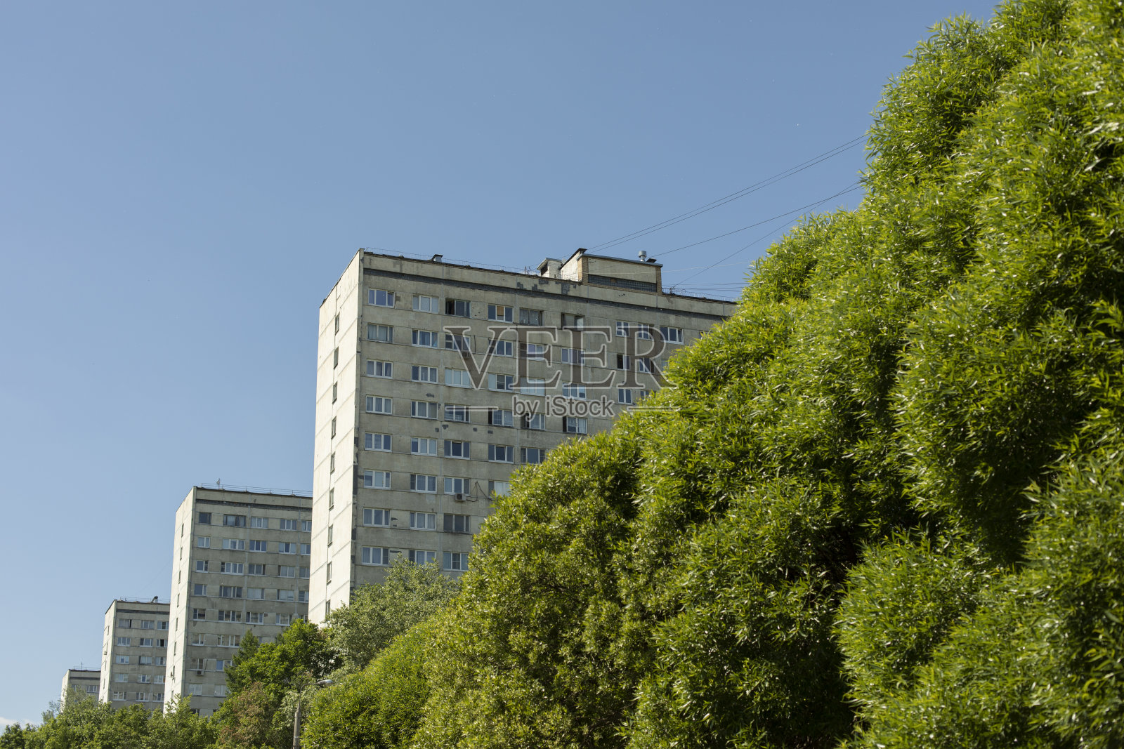 绿色的灌木和房屋。城市是绿色的。市区视图。照片摄影图片