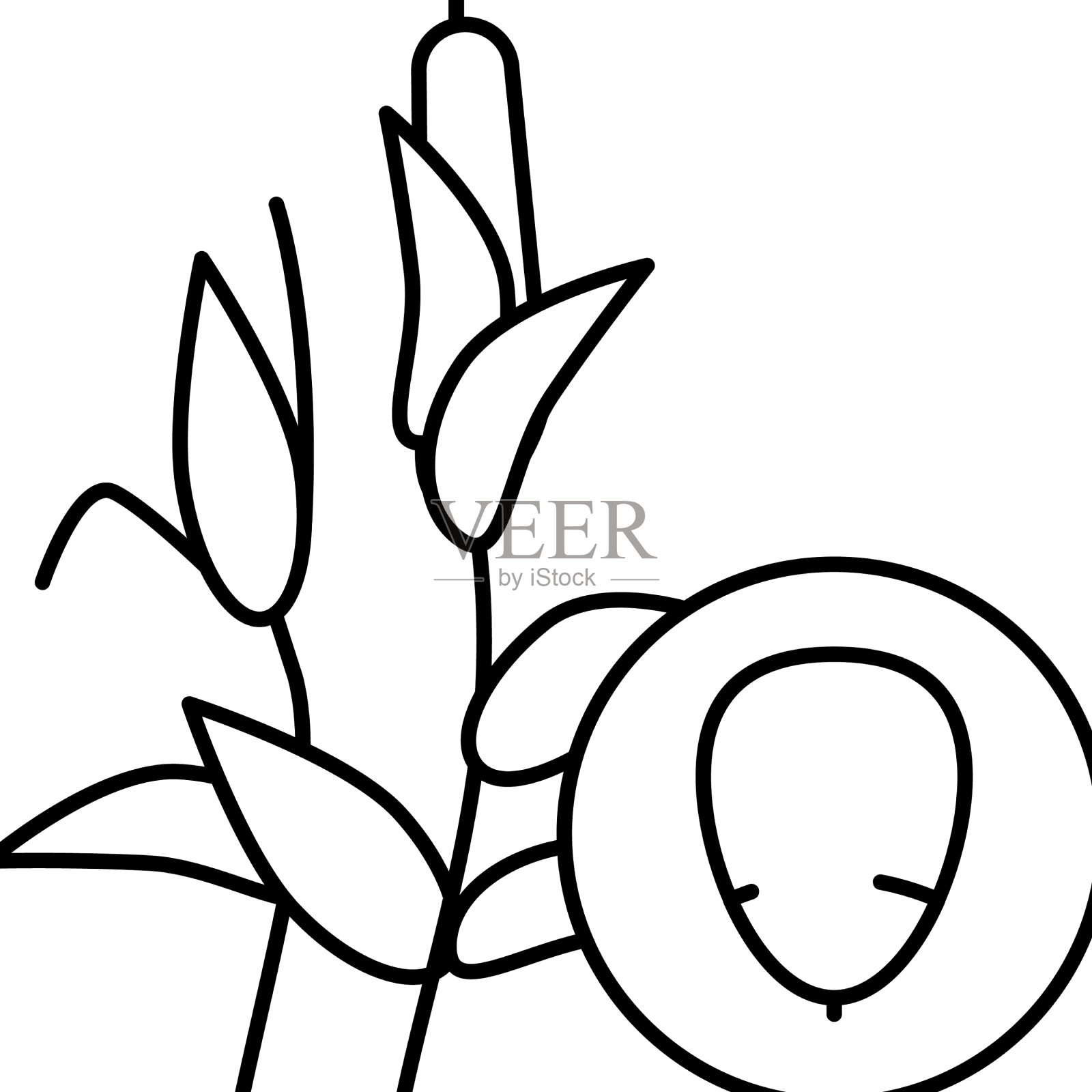 玉米棒线图标设计元素图片