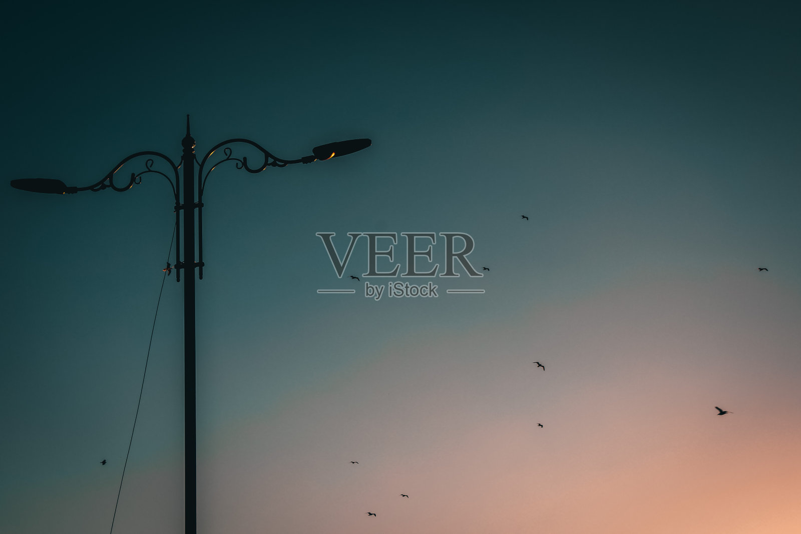 夏天照片摄影图片