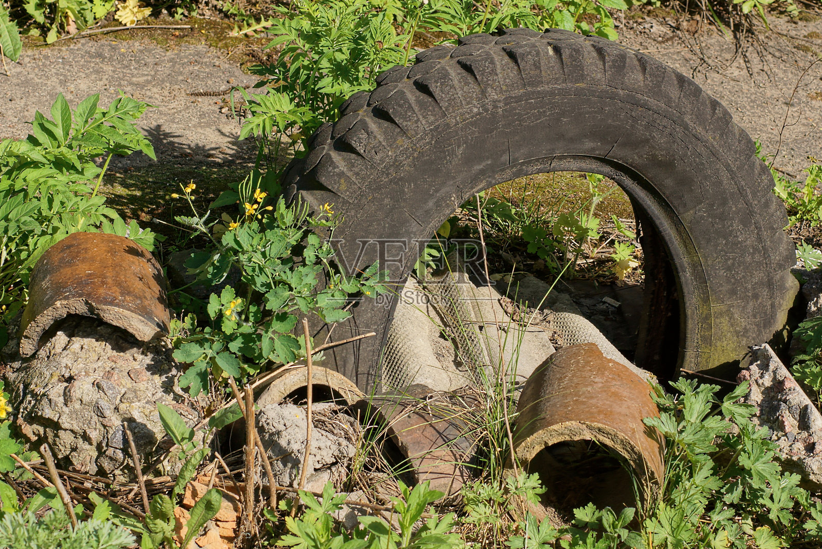 地上有一个黑色的旧汽车轮胎，垃圾堆里有绿草照片摄影图片