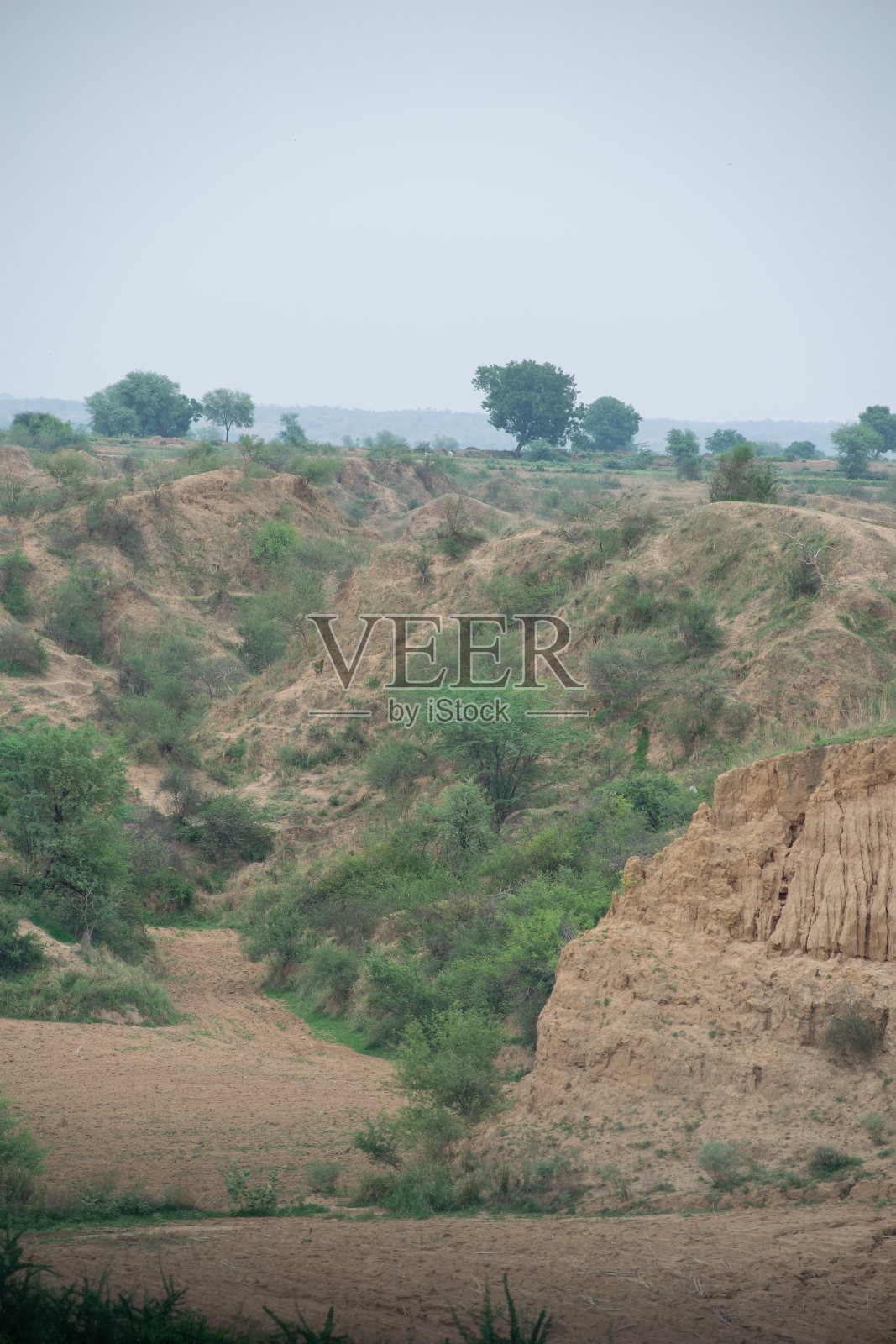 印度中央邦的昌巴尔山谷，以土匪闻名照片摄影图片