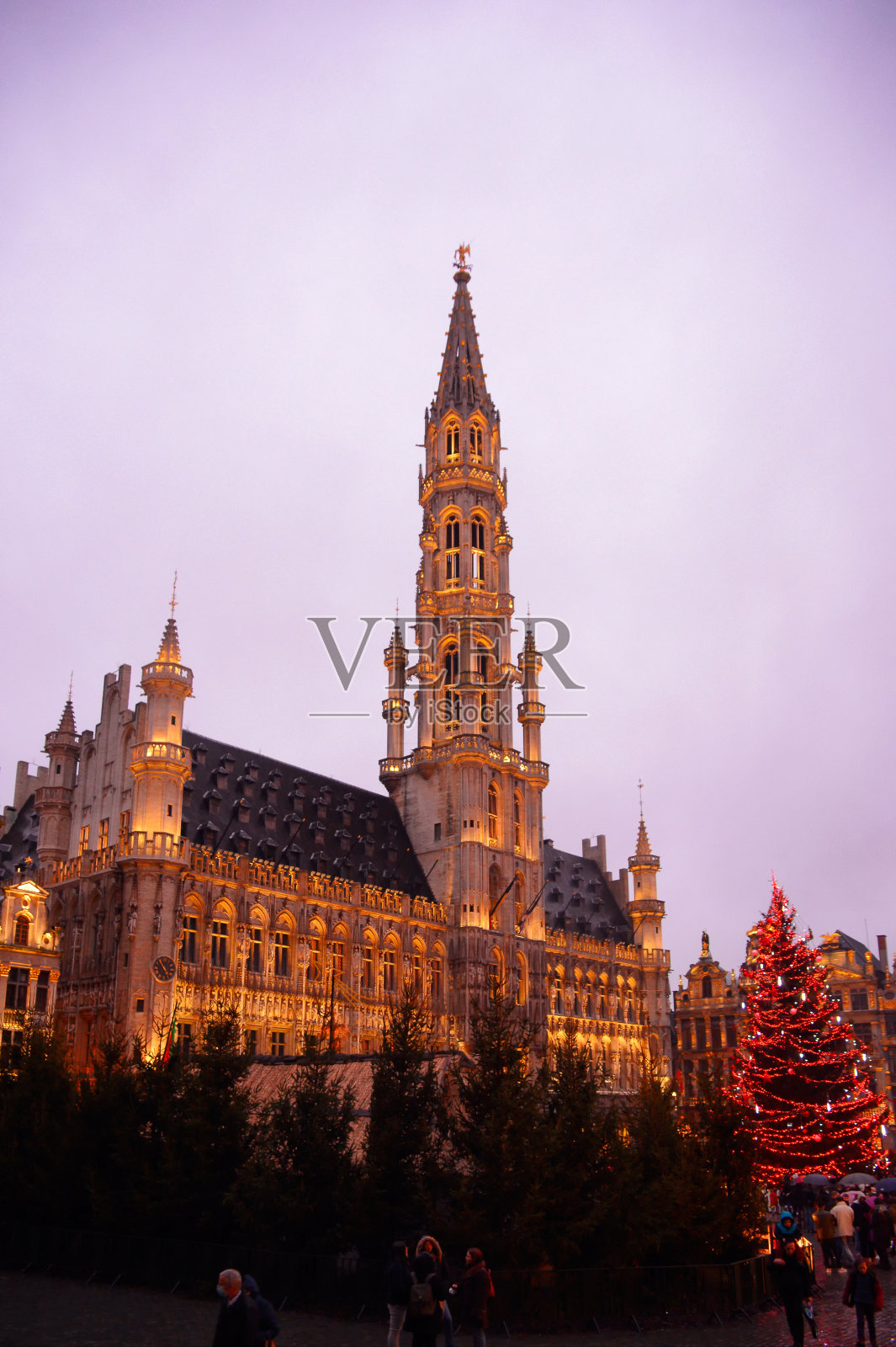 酒店de Ville，布鲁塞尔，比利时照片摄影图片