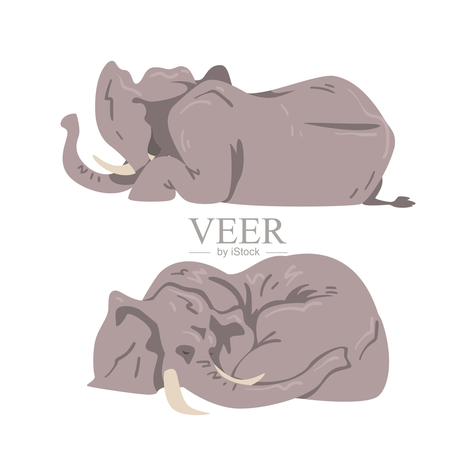 躺象作为大型非洲动物与Trunk，獠牙，耳皮瓣和巨大的腿向量集插画图片素材