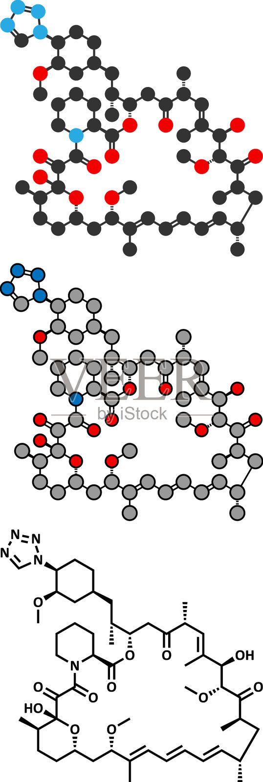 佐他莫司免疫抑制分子用于设计元素图片