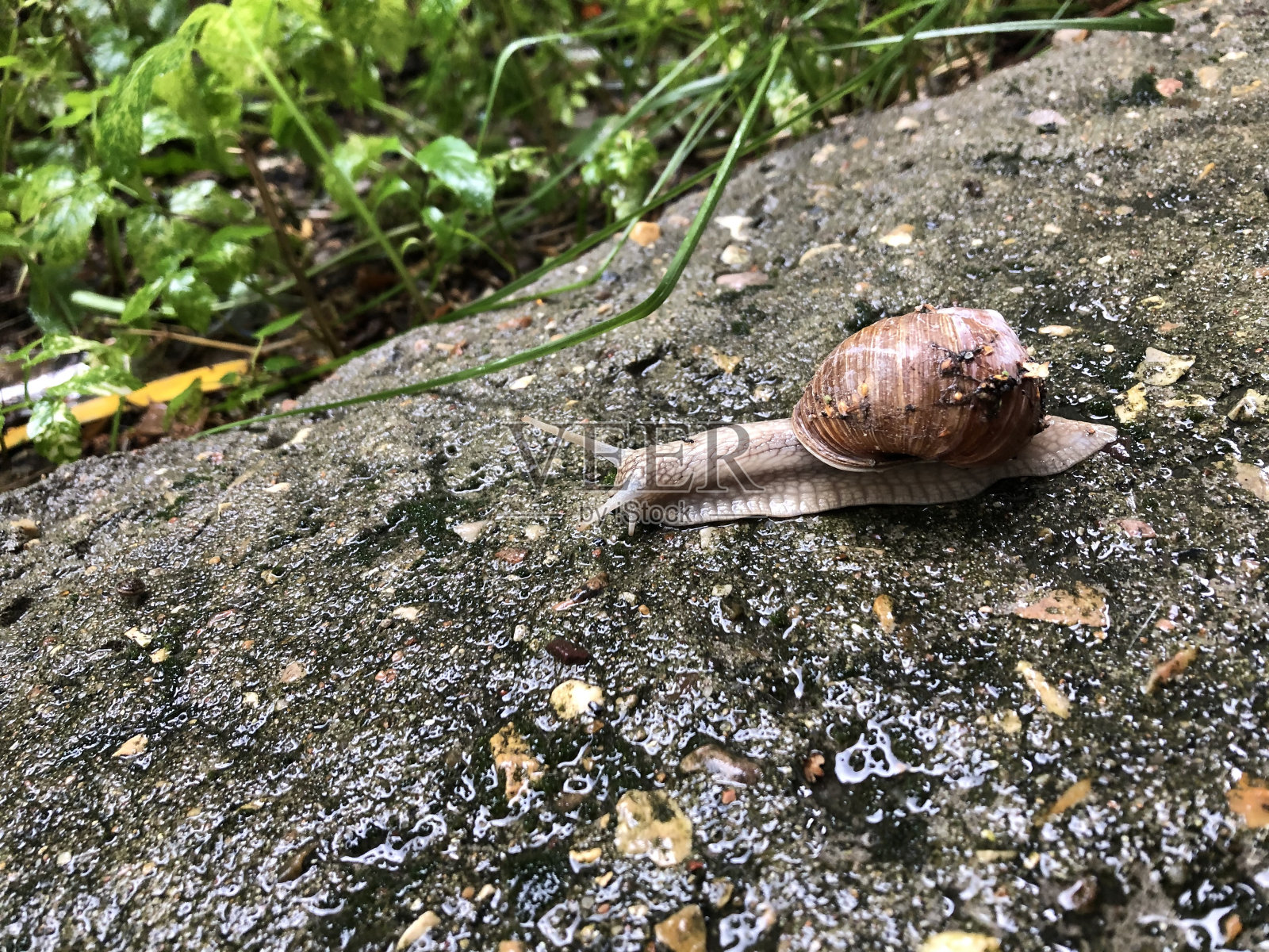 慢的方式照片摄影图片