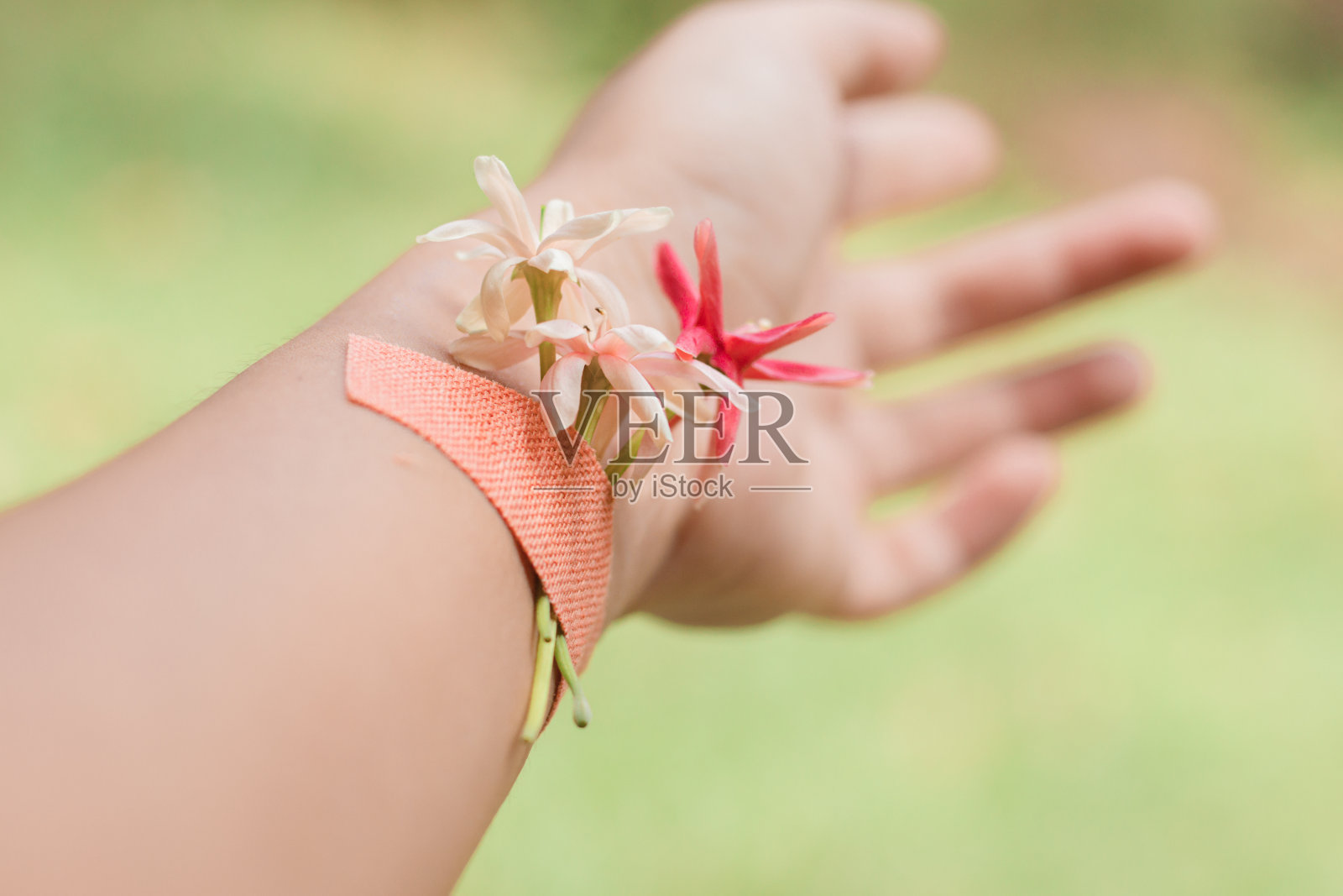 精致的花朵贴在一个女人的手腕上照片摄影图片