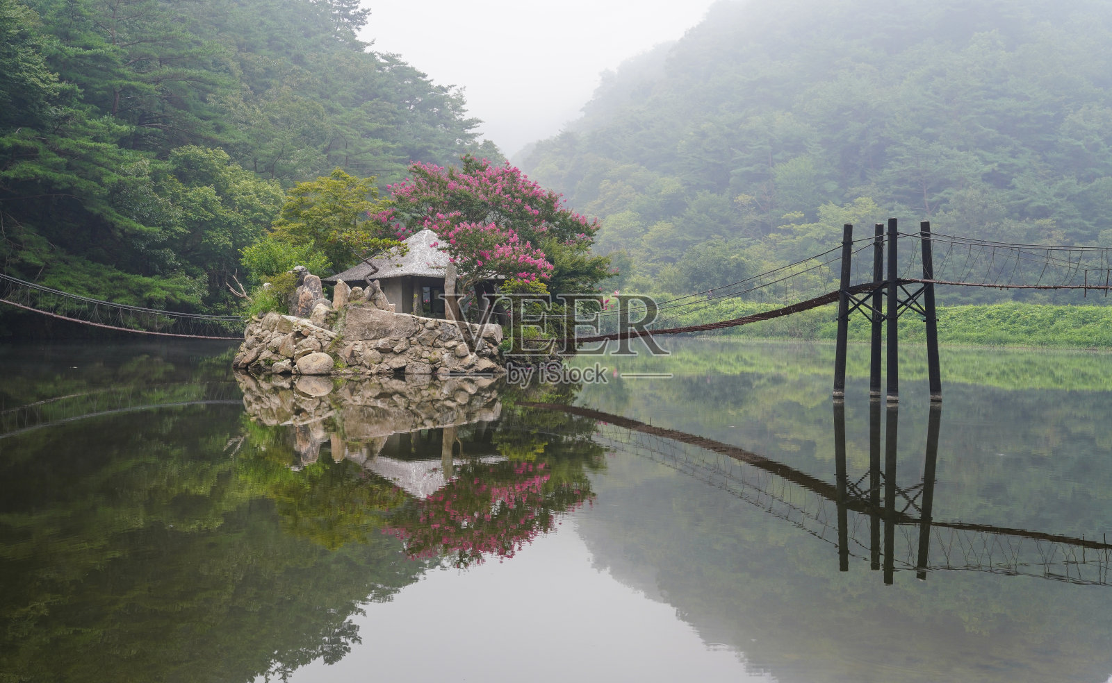 森林中的吊桥和湖小屋。照片摄影图片