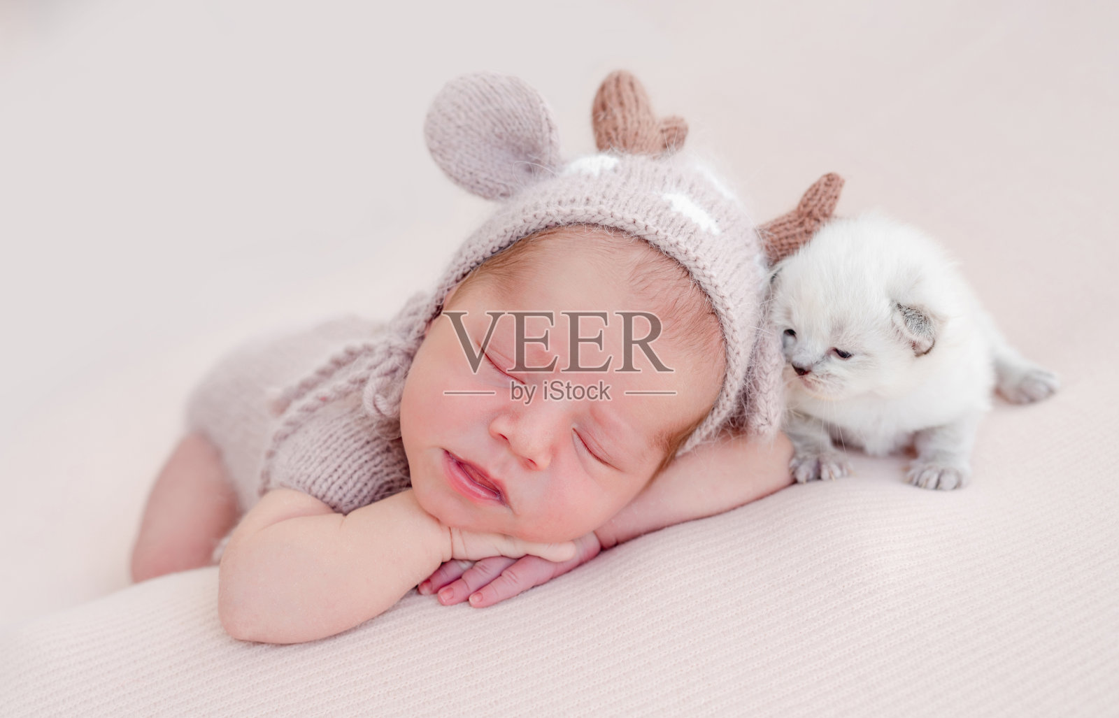 新生儿和小猫一起睡觉照片摄影图片