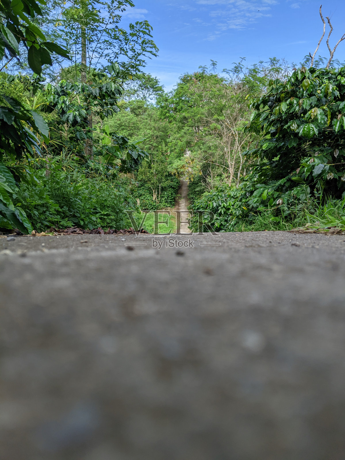 路照片摄影图片