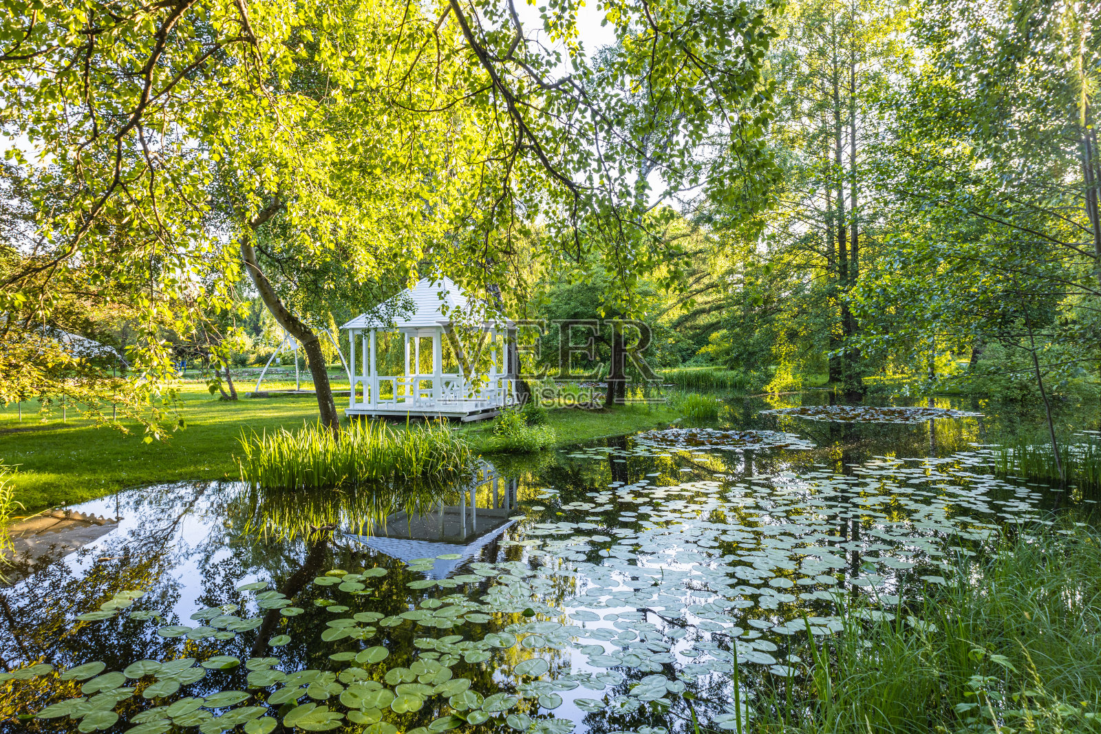 把公园停在一个有池塘的安静的地方休息。城市的夏天照片摄影图片