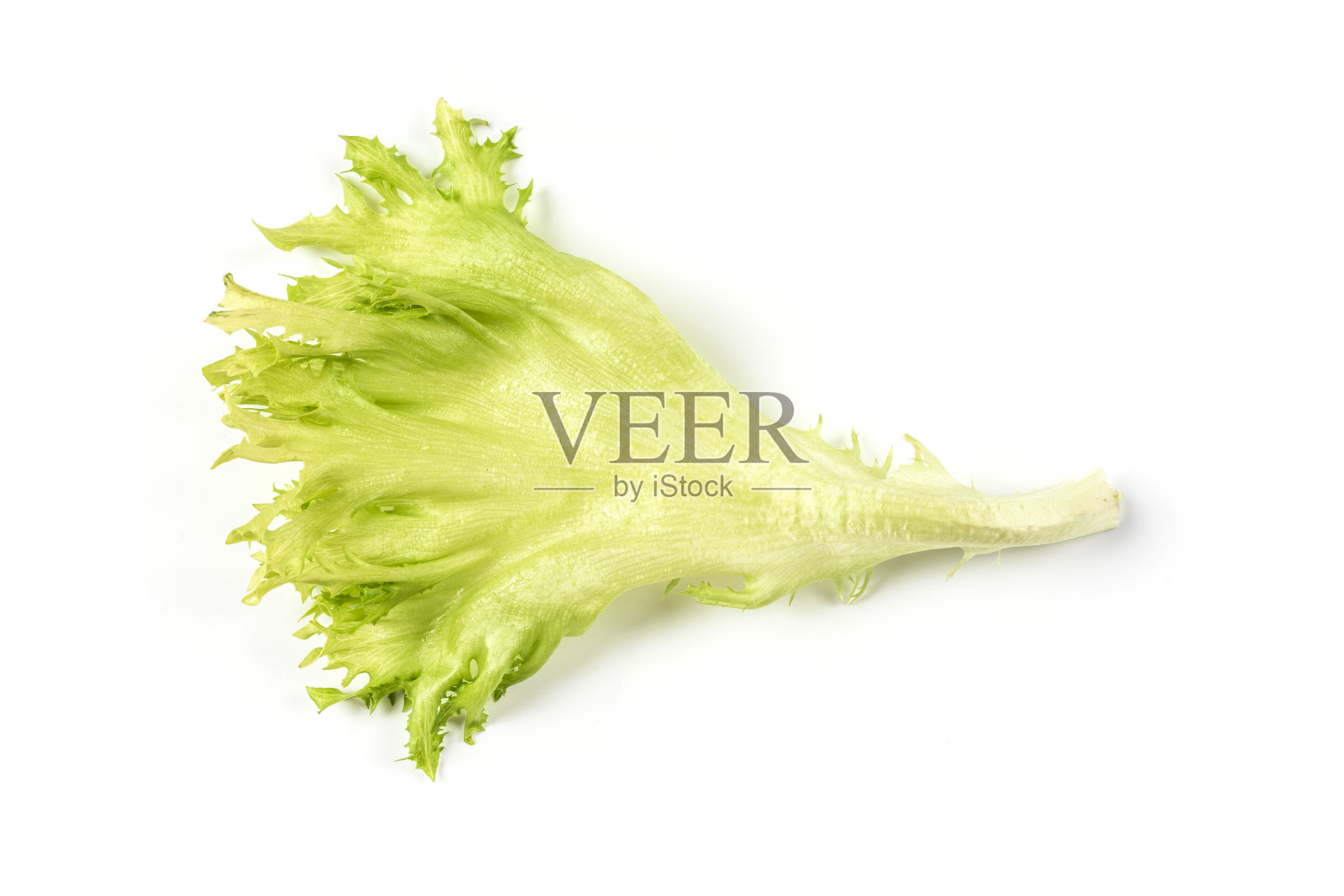 莴苣。沙拉叶孤立在白色背景与修剪路径照片摄影图片