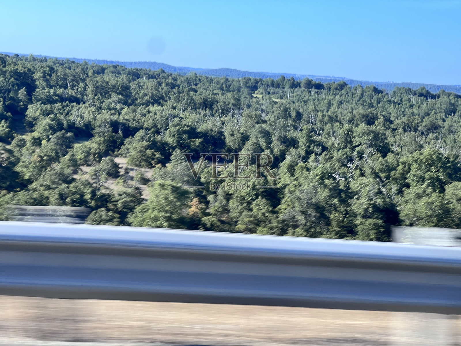 曼福德树景照片摄影图片