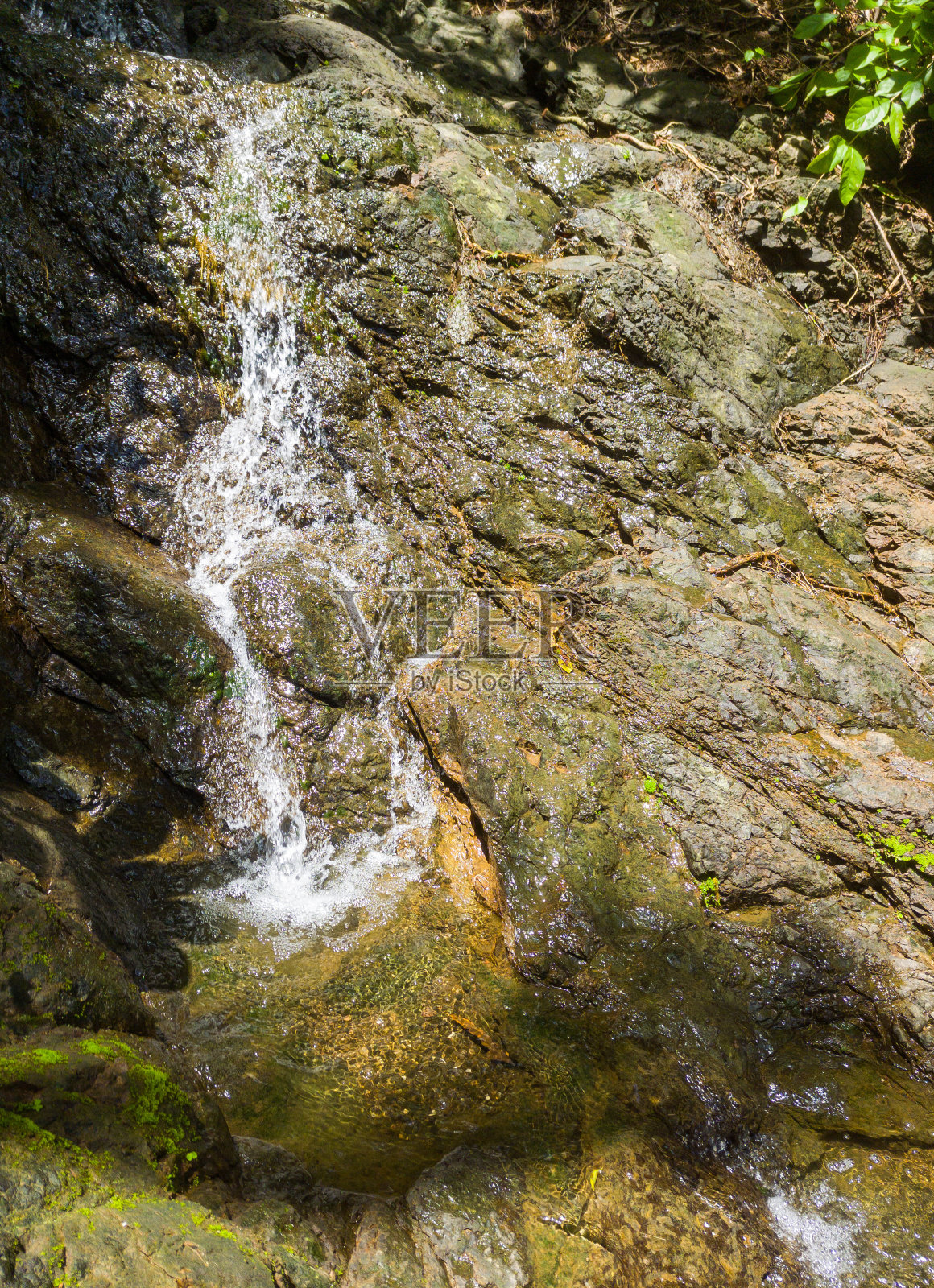 小溪流照片摄影图片