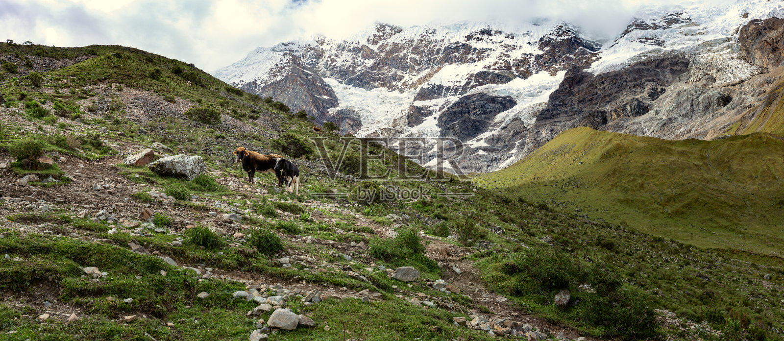 沿着萨尔坎泰山口的安第斯山脉照片摄影图片