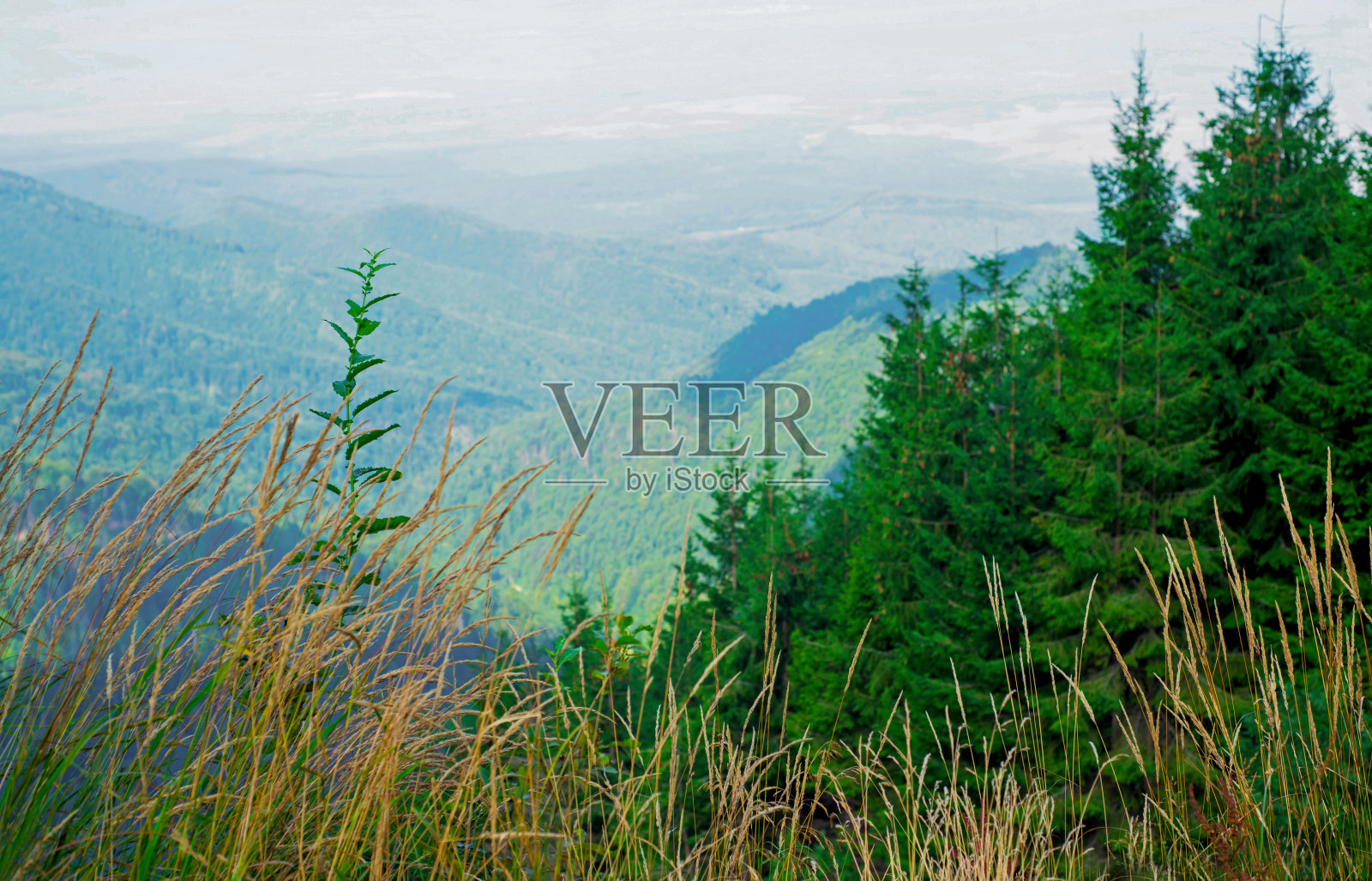 风景优美的高青山和转弯的转伽罗珊路，是世界上最美丽的道路之一。喀尔巴阡山。罗马尼亚照片摄影图片