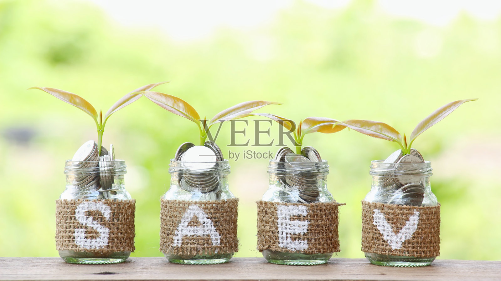 储蓄硬币的投资理念照片摄影图片