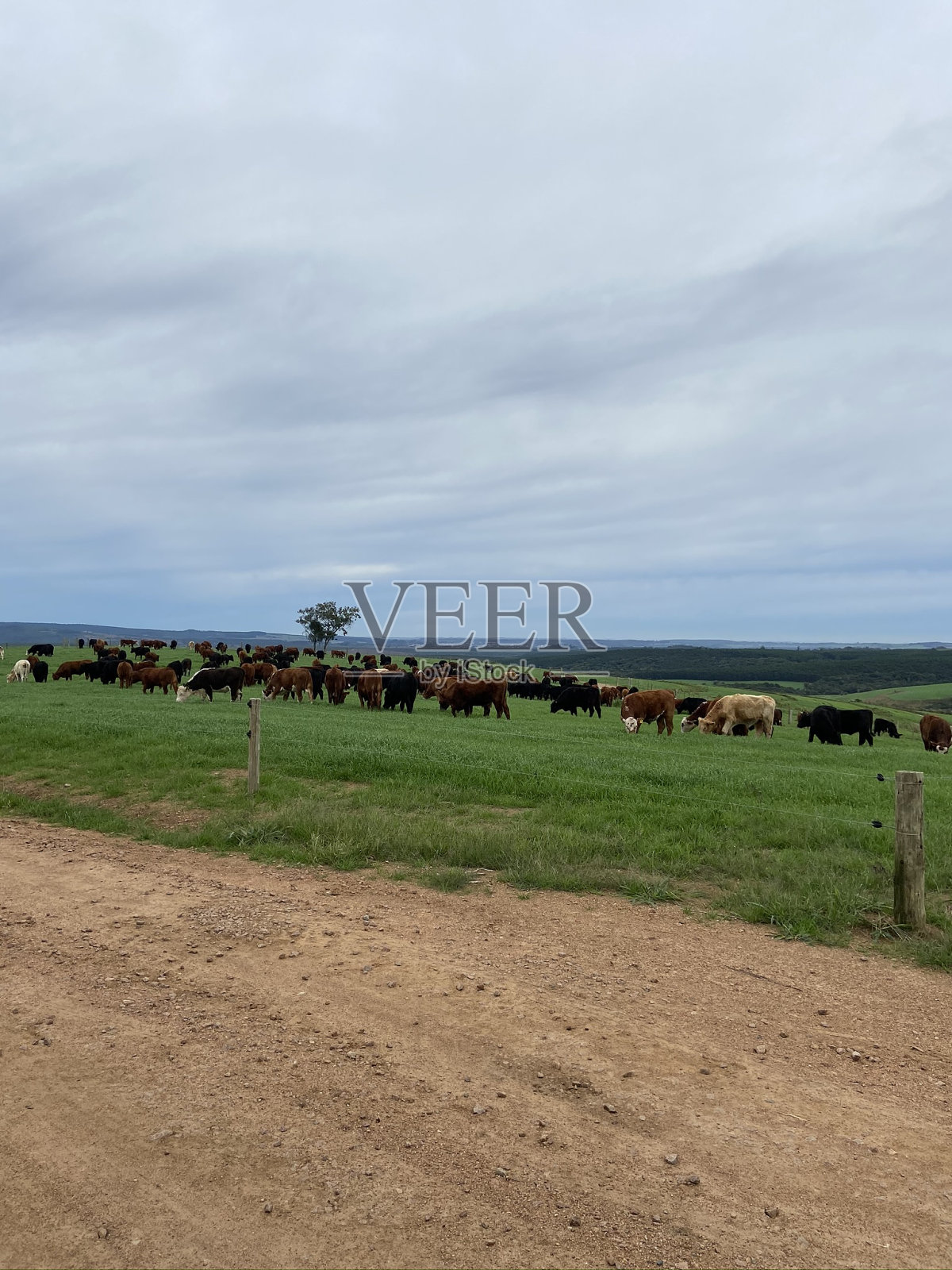帕斯托罗照片摄影图片