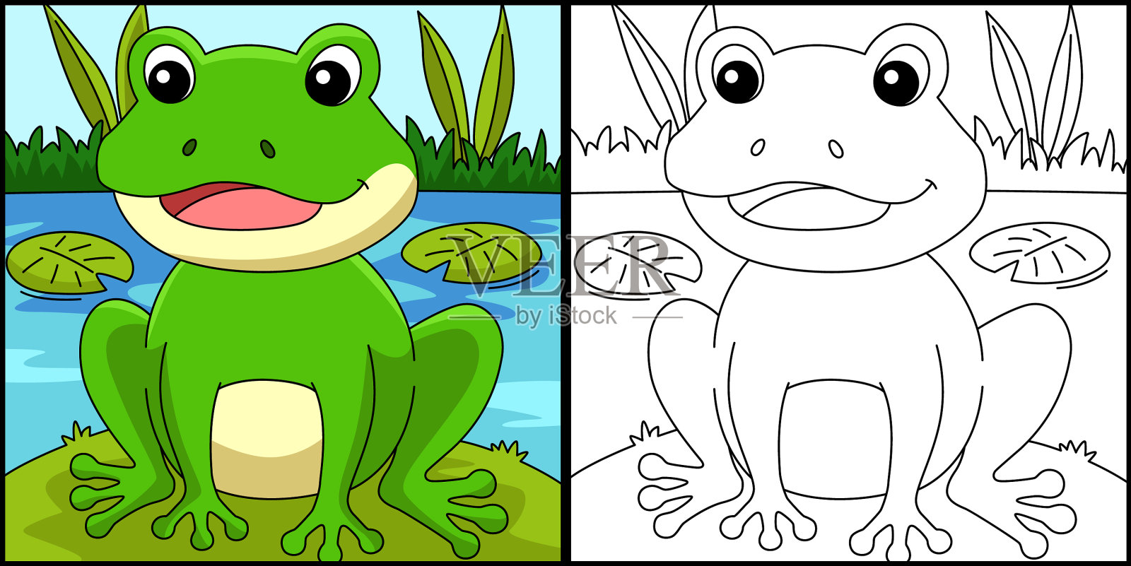 青蛙着色页面着色插画图片素材