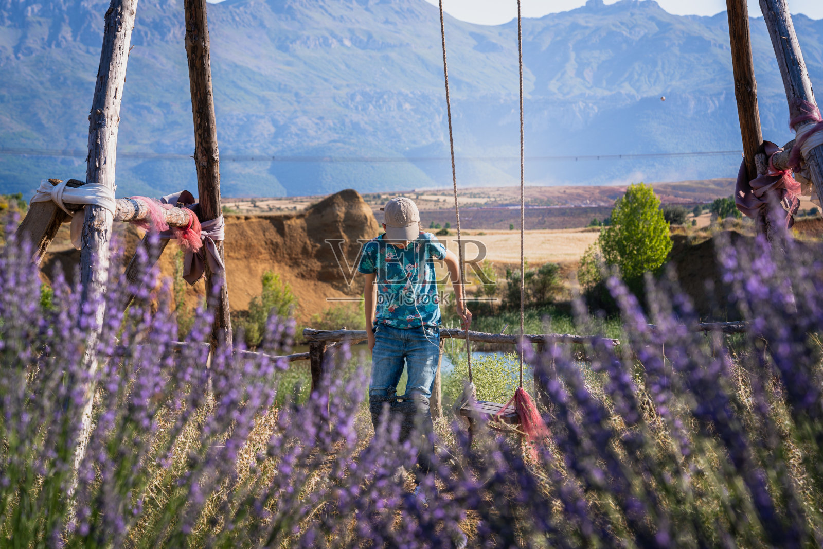 一个小男孩独自在外面的薰衣草地里荡秋千照片摄影图片